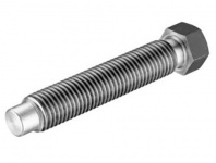 Винт DIN 564 M 20x100 Form B  (50)